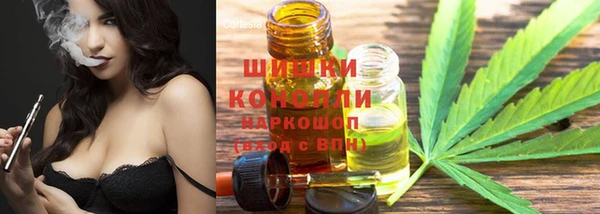 дмт Медвежьегорск