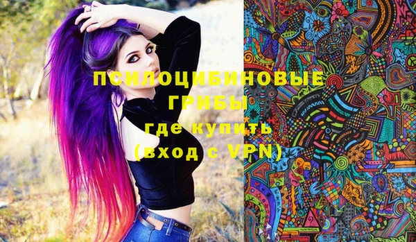 дмт Медвежьегорск