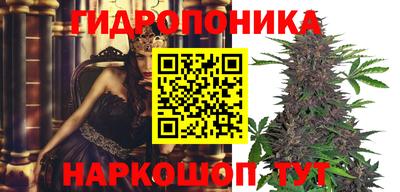 бошки Донской