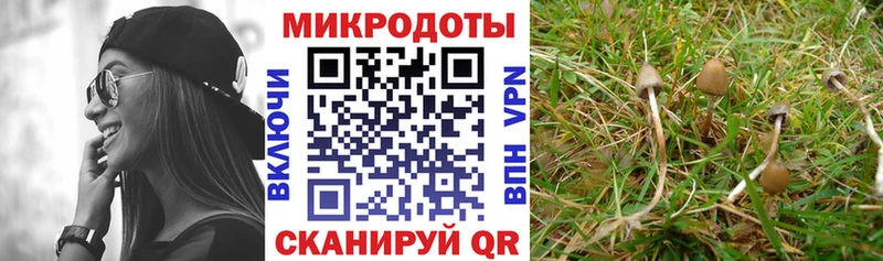 hydra сайт Ялта Галлюциногенные грибы мухоморы сколько стоит