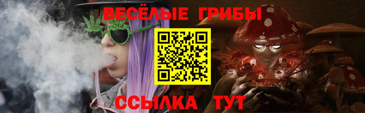 купить наркотик  Псилоцибиновые грибы GOLDEN TEACHER  Галлюциногенные грибы Psilocybine cubensis  Вход с VPN  Ялта 